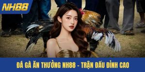 Đá gà ăn thưởng NH88